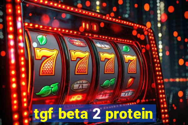 tgf beta 2 protein